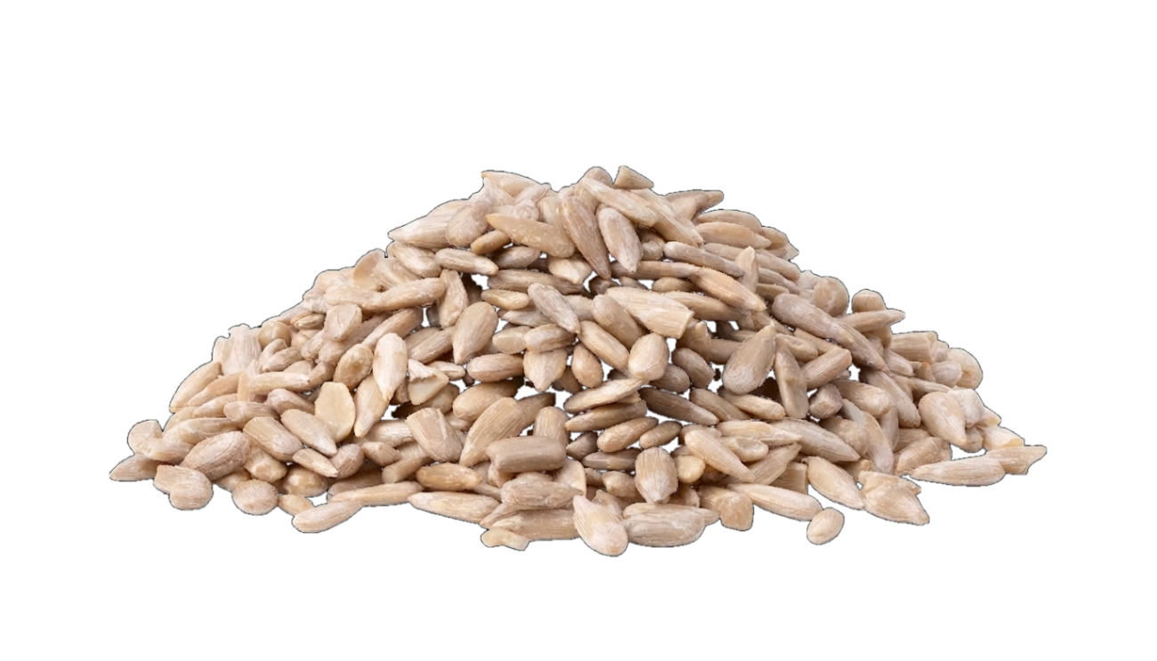 Shelled sunflower seeds