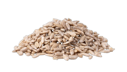 Saulespuķu sēklas lobītas