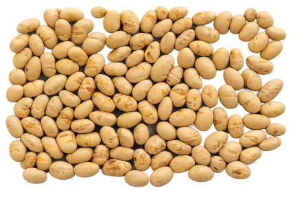 Sojas pupiņas grauzdētas baltas ar sāli