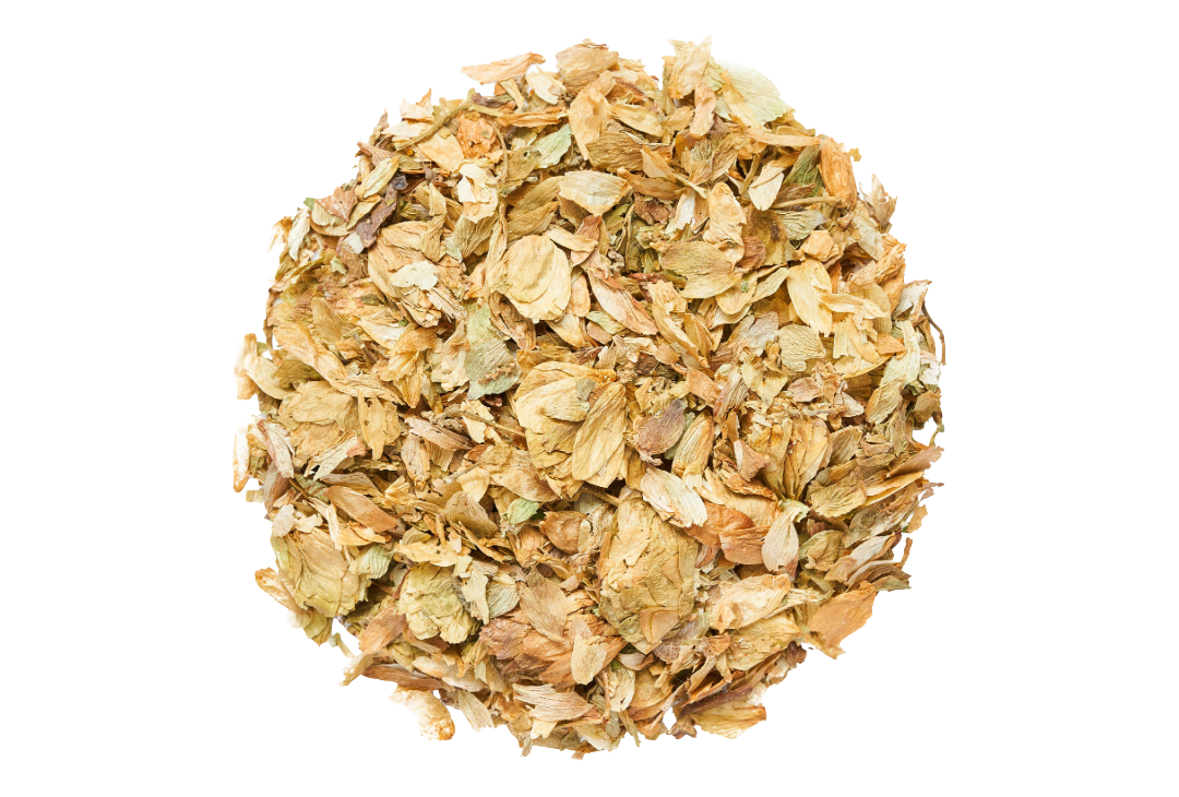 apini_ZAAPTE0500.png