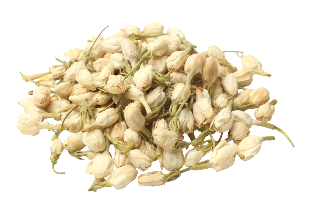 jasminapumpuri_ZAJAZITE0250.png