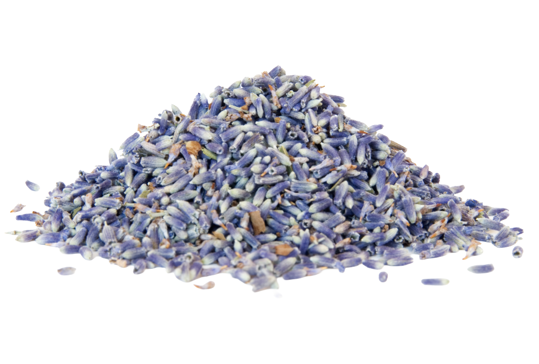 lavanda_ZALAZITE0500.png