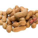 Zemesrieksti čaulā